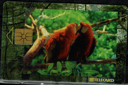 CZECH REPUBLIC 1998 PHONECARD PARROTS USED VF !! - Papageien