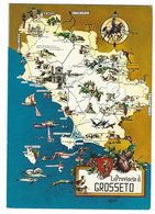 12.190 - LA PROVINCIA DI GROSSETO MAPPA MAPS DISEGNATA 1970 CIRCA - Grosseto