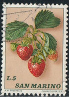 Saint-Marin 1973 Yv. N°841 - Fraise - Oblitéré - Oblitérés