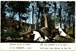 Delcampe - Animaux : VACHE : Vaches Paisible En Bordure De Bois : Si On M'appelle .... Vache : Les Alpes - Sérénité - Kühe
