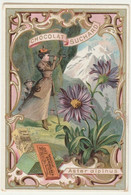 CHROMO Chocolat SUCHARD   +/- 1894  Serie 41  Fleurs Des Alpes Flowers  Aster Alpinus  Trade Card   Alpine Flowers - Suchard