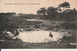 LOCTUDY. - Le Lavoir Du Suler - Loctudy