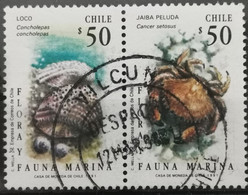 1991 Meerestiere Zusammenhängend - Chile