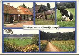 Nederland Holland Pays Bas Hellendoorn Landleven - Hellendoorn