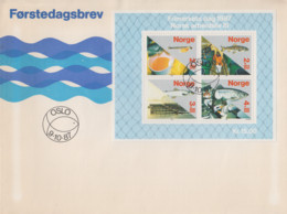 Enveloppe  FDC   1er   Jour   NORVEGE   Bloc  Feuillet   Journée  Du  Timbre   1987 - FDC