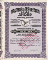 Titre Ancien - Malteria & Cerveceria De Los Andes - Sociedad Anónima - Titulo De 1946 - - Industrie