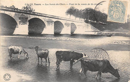 Tours     37          Les Bords Du Cher  Pont De La Route De Saint Avertin  - Vaches -   (voir Scan) - Tours