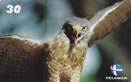 BRAZIL(Telemar) - Bird, Hawk, 01/00, Used - Eagles & Birds Of Prey