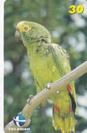 BRAZIL(Telemar) - Parrot, 03/01, Used - Pappagalli