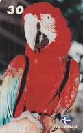 BRAZIL(Telemar) - Parrot, Tirage 25000, 03/00, Used - Pappagalli