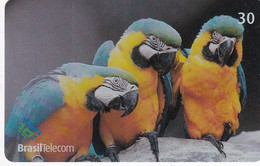 BRAZIL(Brasil Telecom) - Parrots, 07/02, Used - Pappagalli