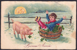 +++ CPA - Fantaisie - Bonne Année - Cochon - Pig - Trèfle - Enfant - Fille - Fillette  // - Cochons