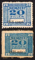 1916 1920 Hungary - NEMZETI " National " Insurance REVENUE TAX Stamp Label Vignette - Used - 20 Fill COLOR VARIATION - Steuermarken