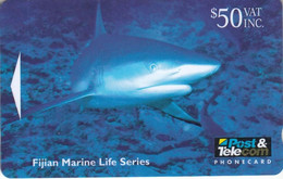 Blue Shark - 10FJF - Fiji