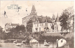 COTTBUS Lausitz Stadtpark Mit Spreestrasse Land Und Amtsgericht Schwäne Auf Dem Wasser Gelaufen 30.6.1914 - Cottbus