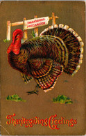 Thanksgiving Greetings With Turkey 1911 - Thanksgiving