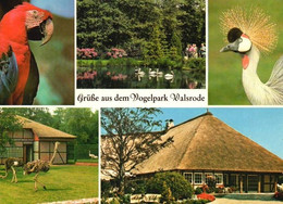 AK -  Walsrode , Vogelpark - Walsrode