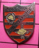 413d Pin's Pins / Beau Et Rare / THEME : MILITARIA / ANCIENS COMBATTANTS AUNAY SUR ODON CALVADOS AFN TOE - Militaria