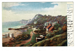 Ref 1501 -  1902? Raphael Tuck Postcard - Steephill Cove Ventnor - Isle Of Wight - Ventnor