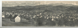 Suisse Sg St Gall Flawil Totalnsicht Mit Santis  Carte Double Panoramique - Flawil