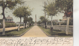 A2432) Greeting From GALVESTON - LITHO 1904 - Galveston