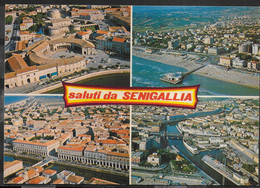 SALUTI DA SENIGALLIA  - NON VIAGGIATA - Senigallia