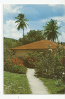 Martinique Trois Ilets L'hotel Catalou A L'anse A L'ane  Ed Felix Rose Rosette Fort De France - Other & Unclassified
