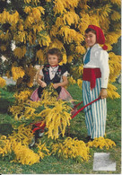 CPM  France   Provence Alpes Côte D’Azur   Cueillette Du Mimosa   Enfants  Costume - Personnages