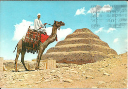 Egitto (Egypt) The King Zosers Step Pyramid Of Sakkara, Pyramide à Degré Du Roi Zoser, Camel With Camel Driver - Sphynx