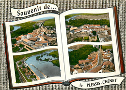 91* LE PLESSIS CHENET  Souvenir – Multi-vues  (CPSM 10x15cm)    RL19,0460 - Autres Communes