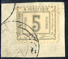 EGITTO 1888 N. 14  , 5P Grigio  Usato Su Frammento Cat. € 250 - Officials