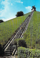 Belgique > Brabant Wallon-WATERLOO La  Butte Le Lion L'escalier    (Napoleon)-- Editions DEMOL 252 *PRIX FIXE - Waterloo