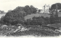 Vienne. - Château Du Mont-Arnaud. - Vienne