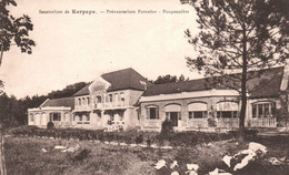 CPA - Sanatorium De KERPAPE - Préventorium Forestier - Pouponnière - Plömeur