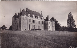 DANGE (Vienne) Château De Piolant - Dange Saint Romain