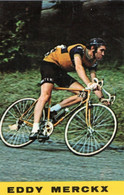 CYCLISME-WIELRENNEN-CICLISMO - 1 CARTE - EDDY MERCKX - MOLTENI - Cycling