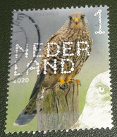 Nederland - NVPH - Xxxx - 2020 - Gebruikt - Used - Beleef De Natuur - Torenvalk - Used Stamps