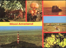 Nederland Holland Pays Bas Ameland Is Mooi - Ameland