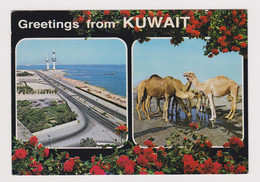 KUWAIT Greetings From Kuwait View Vintage Photo Postcard CPA (53267) - Koeweit