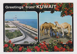 KUWAIT Greetings From Kuwait View Vintage Photo Postcard CPA (53267) - Koweït