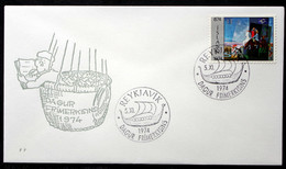 Iceland 1974   Minr.486 SPECIAL CANCEL COVER      ( Lot 6572 ) - Covers & Documents