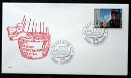 Iceland 1974   Minr.486 SPECIAL CANCEL COVER      ( Lot 6573 ) - Covers & Documents