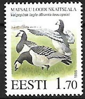 Estonia - MNH ** 1995 :  Barnacle Goose  -  Branta Leucopsis - Gansos