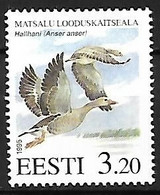 Estonia - MNH ** 1995 :  Greylag Goose  -  Anser Anser - Gänsevögel