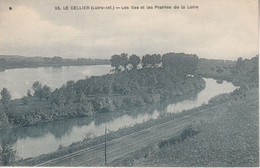 44 - LE CELLIER - Les Iles Et Les Prairies De La Loire - Le Cellier