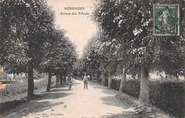 NERONDES - Avenue Des Tilleuls - Nérondes