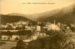 Petreto Bicchisano * Vue Générale Du Village * Corse Du Sud 2A - Autres & Non Classés