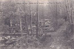 Environs De Spa - Vallée De La Hoëgne - Le Pont Du Renard - 1912 - Spa