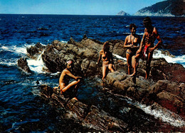 Ile Du Levant Hyères * Nu Curiosa Naturisme Naturiste * Groupe De Naturistes Sur Les Rochers ! * Femme Nue Seins Nus - Hyeres