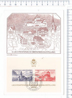 LIECHTENSTEINISCHE BRIEFMARKENAUSSTELLUNG - D 208 LIECHTENSTEIN - Covers & Documents